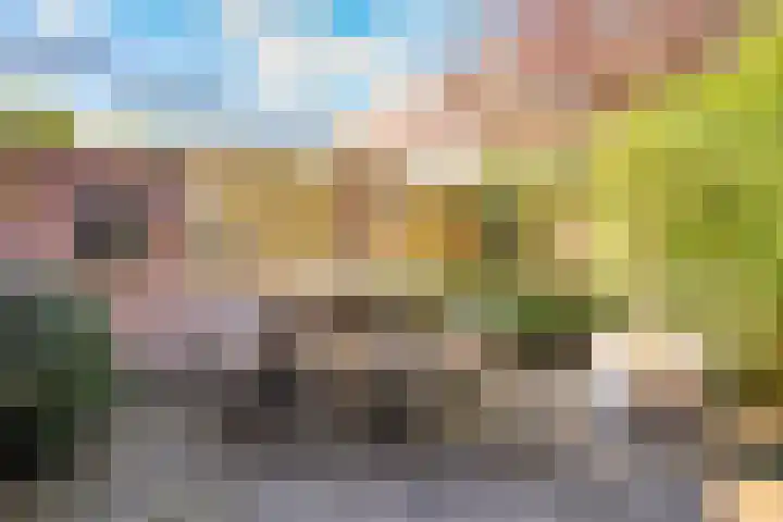 de Pas 26 Haarlo thumbnail 47