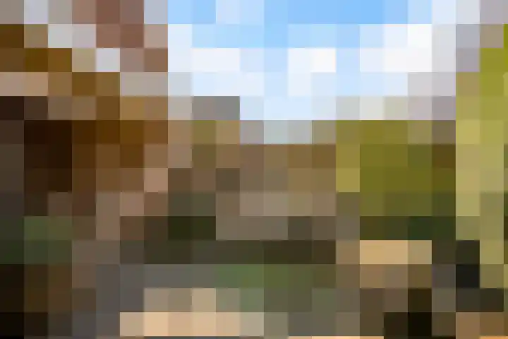 de Pas 26 Haarlo thumbnail 48