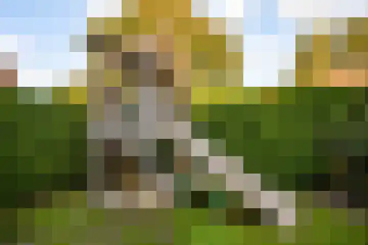 de Pas 26 Haarlo thumbnail 49