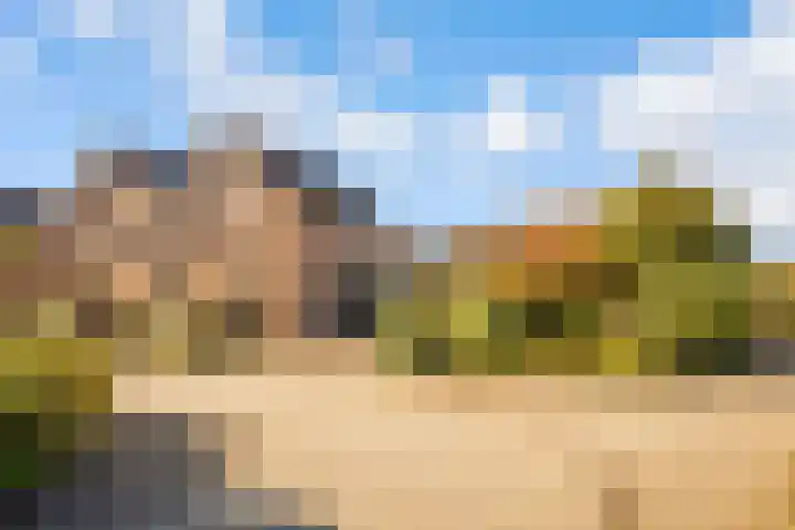de Pas 26 Haarlo thumbnail 5
