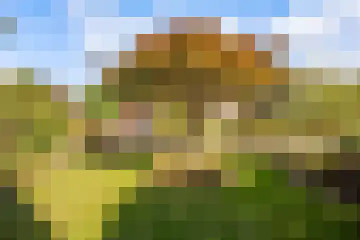 de Pas 26 Haarlo thumbnail 50