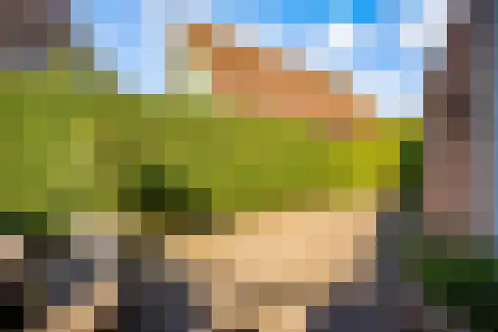 de Pas 26 Haarlo thumbnail 51