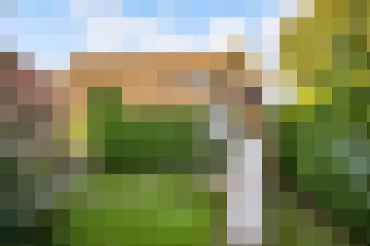 de Pas 26 Haarlo thumbnail 52