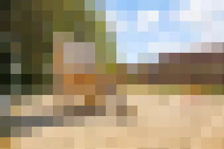 de Pas 26 Haarlo thumbnail 53