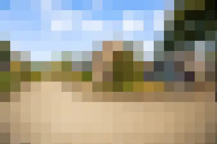 de Pas 26 Haarlo thumbnail 55
