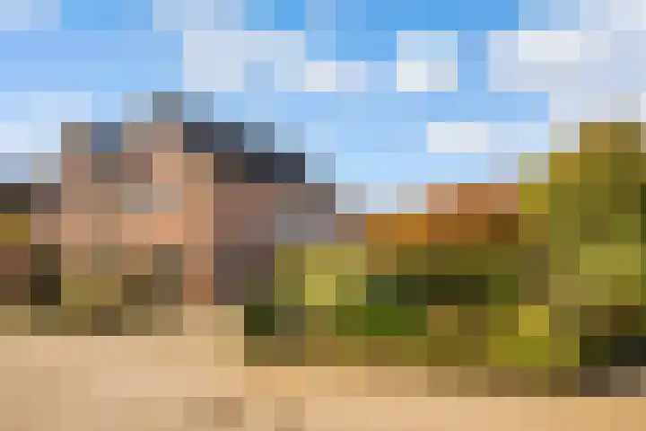 de Pas 26 Haarlo thumbnail 56
