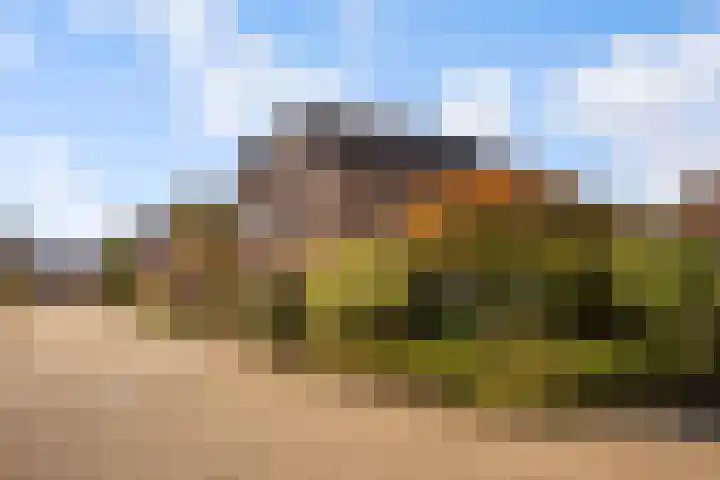 de Pas 26 Haarlo thumbnail 57
