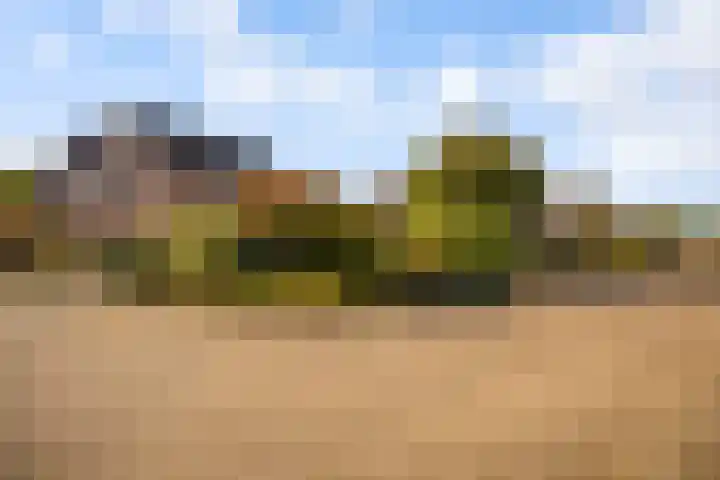de Pas 26 Haarlo thumbnail 58