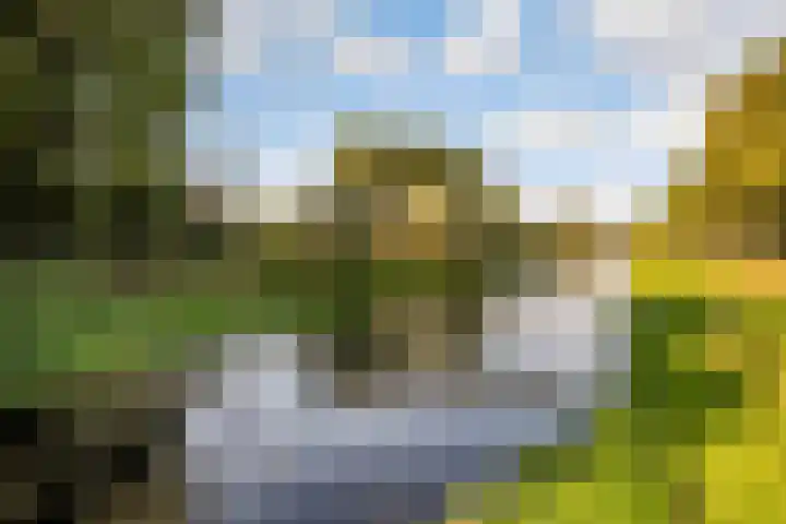 de Pas 26 Haarlo thumbnail 59