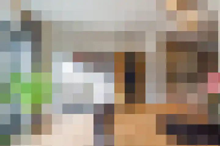 de Pas 54 Haarlo thumbnail 18