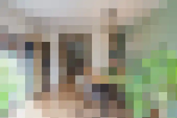 de Pas 54 Haarlo thumbnail 19