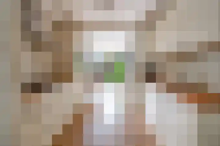 de Pas 54 Haarlo thumbnail 20