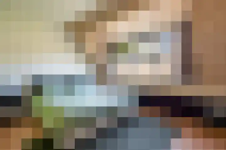 de Pas 54 Haarlo thumbnail 23