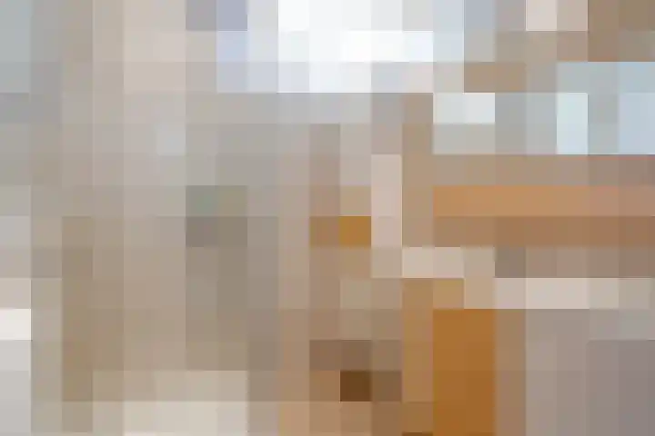 de Pas 54 Haarlo thumbnail 30