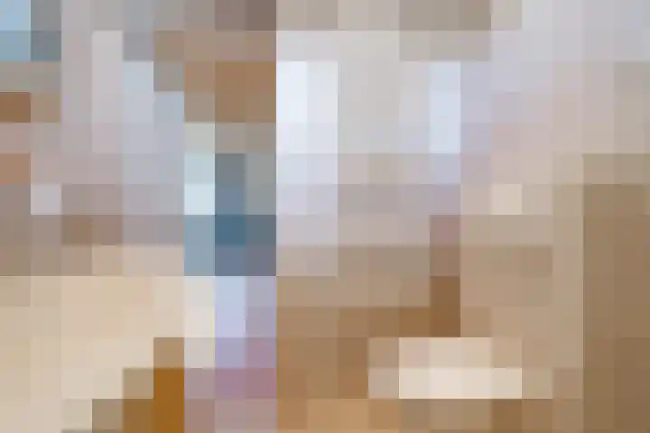de Pas 54 Haarlo thumbnail 31
