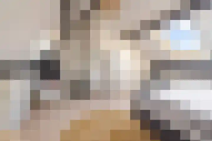 de Pas 54 Haarlo thumbnail 35