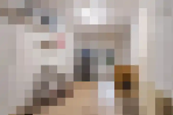 de Pas 54 Haarlo thumbnail 36