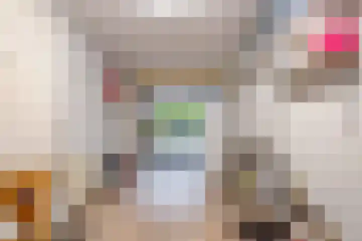 de Pas 54 Haarlo thumbnail 38