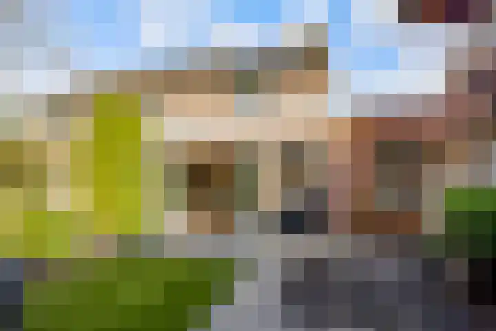 de Pas 54 Haarlo thumbnail 4
