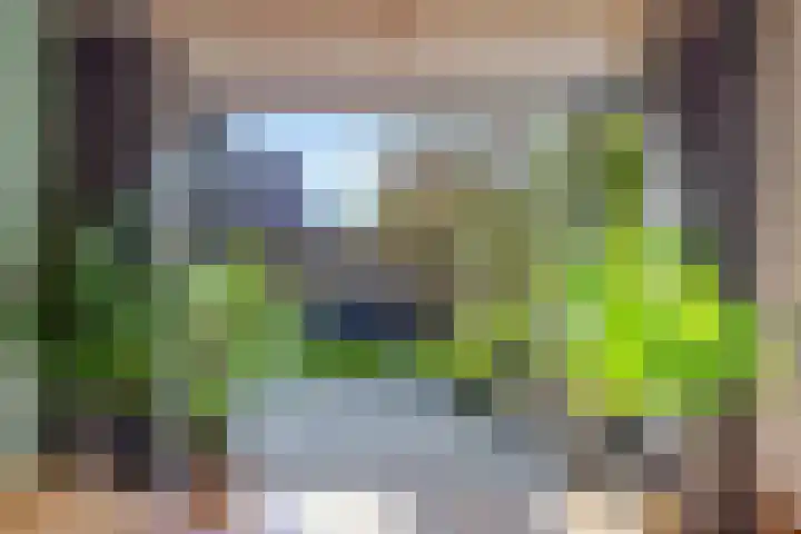 de Pas 54 Haarlo thumbnail 46