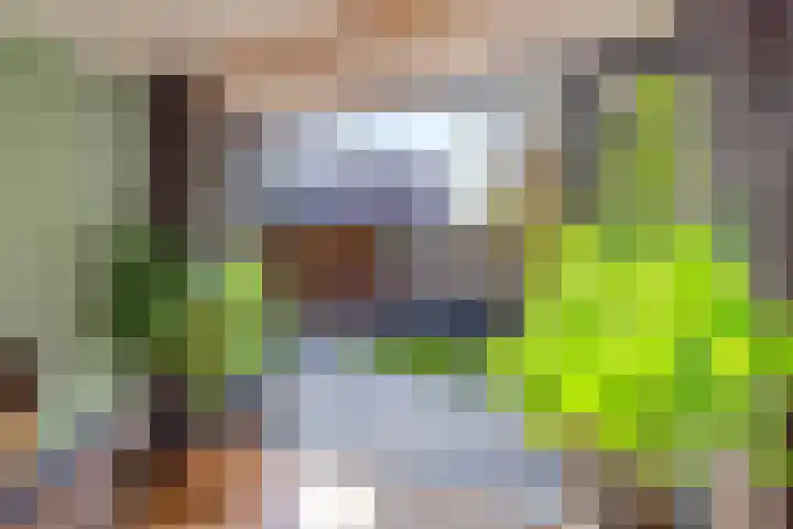 de Pas 54 Haarlo thumbnail 47