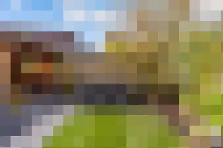 de Pas 54 Haarlo thumbnail 49