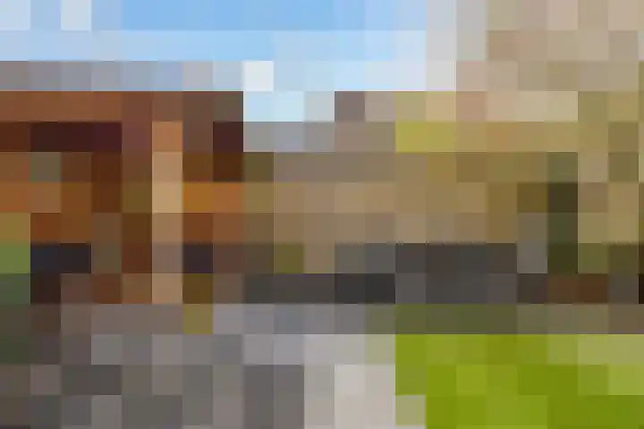 de Pas 54 Haarlo thumbnail 51