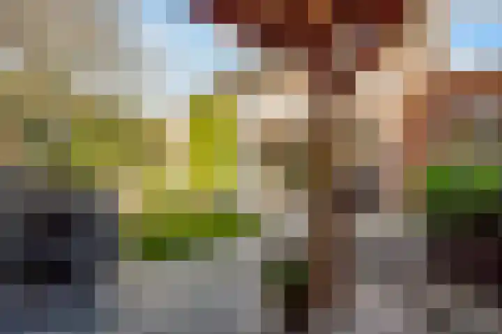 de Pas 54 Haarlo thumbnail 52