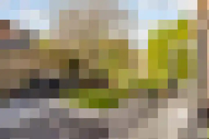 de Pas 54 Haarlo thumbnail 53