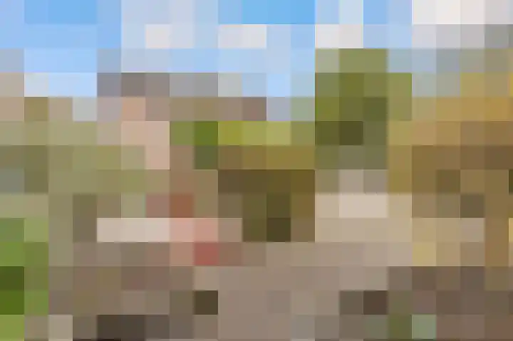 de Pas 54 Haarlo thumbnail 55
