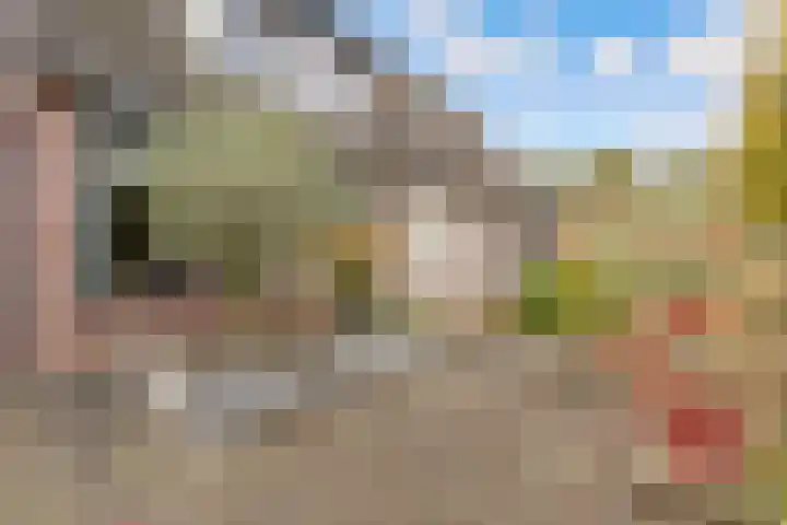 de Pas 54 Haarlo thumbnail 58