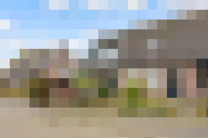 de Pas 54 Haarlo thumbnail 6