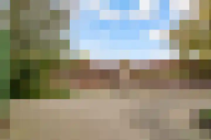 de Pas 54 Haarlo thumbnail 60