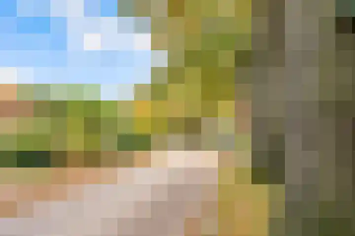 de Pas 54 Haarlo thumbnail 61