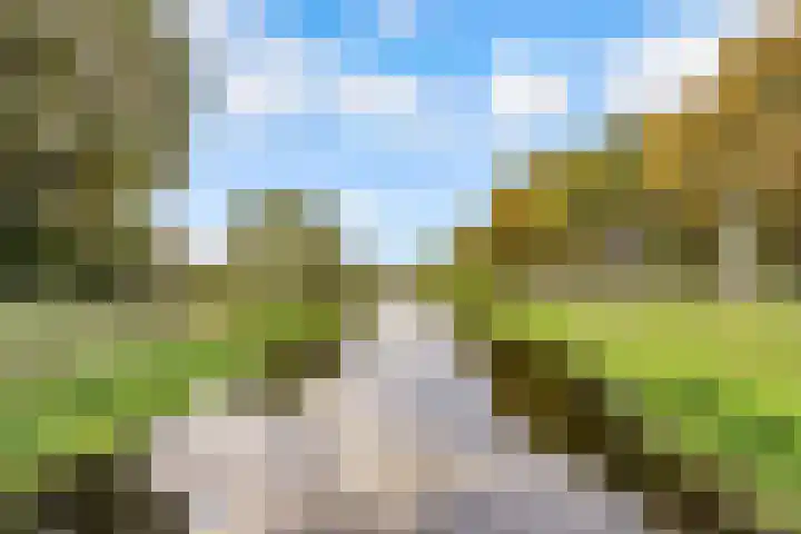 de Pas 54 Haarlo thumbnail 62