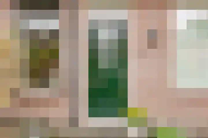 de Pas 54 Haarlo thumbnail 7
