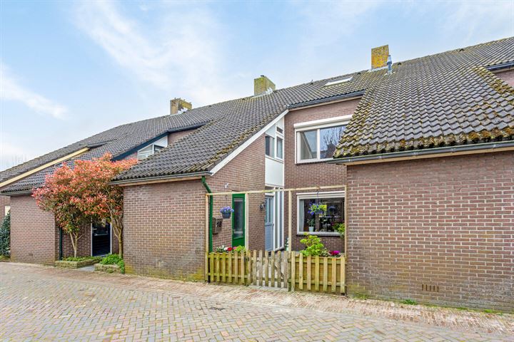 de Pauw 18 in Muiden foto