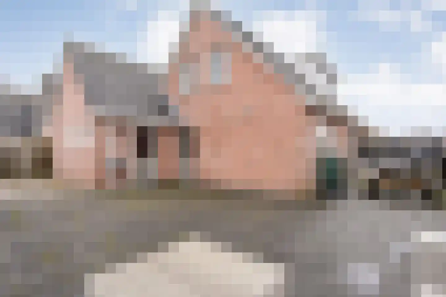 de Pauwe 6 in Nieuw Heeten