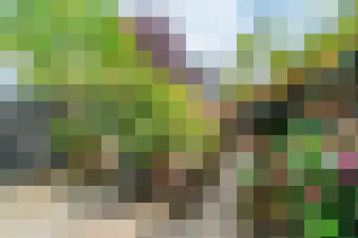 De Pauwentuin 22 Amstelveen thumbnail 14