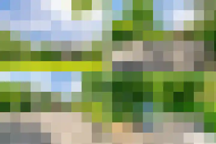 De Pauwentuin 22 Amstelveen thumbnail 38