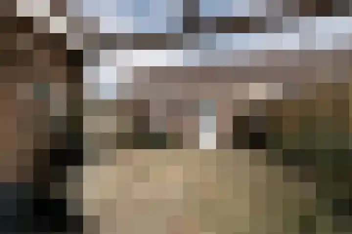 De Pellenwever 96 Boxtel thumbnail 25