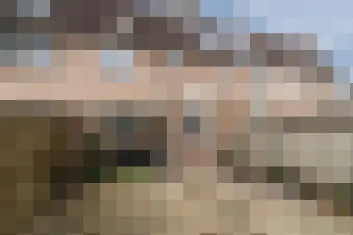 De Pellenwever 96 Boxtel thumbnail 27