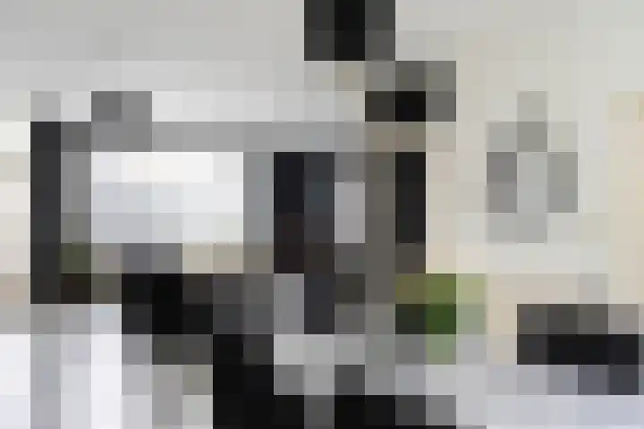 De Pellenwever 96 Boxtel thumbnail 6