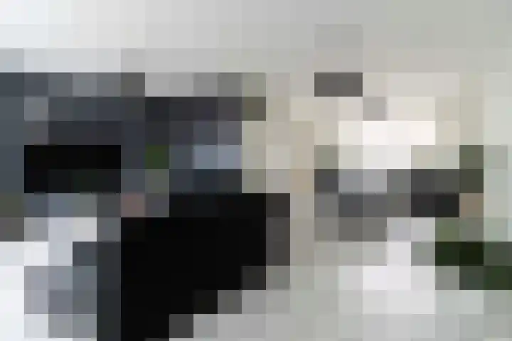 De Pellenwever 96 Boxtel thumbnail 8
