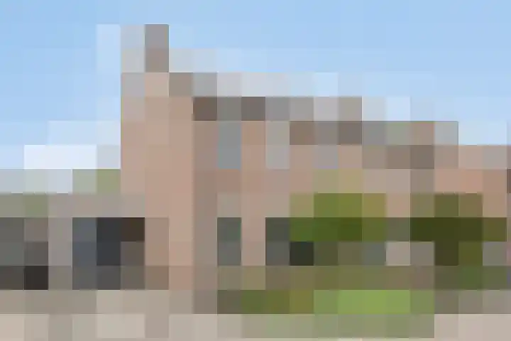 De Pelslap 27 Horst