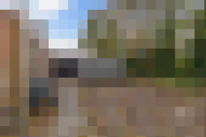 De Peppel 5 Nij Beets thumbnail 18