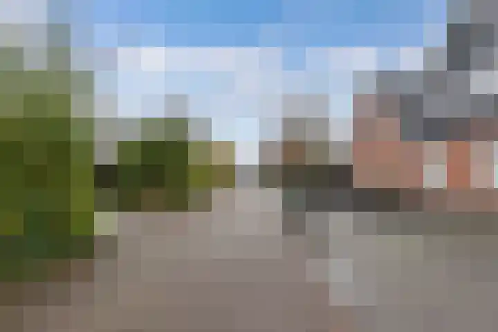 De Peppel 5 Nij Beets thumbnail 28