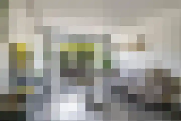 De Peppelpas 9 Zetten thumbnail 15