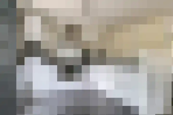 De Peppelpas 9 Zetten thumbnail 18