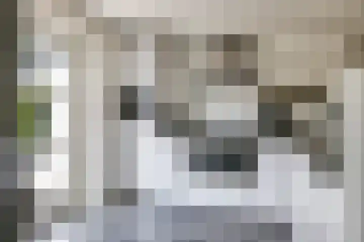 De Peppelpas 9 Zetten thumbnail 20